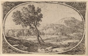 Twee bomen met gekruiste stammen