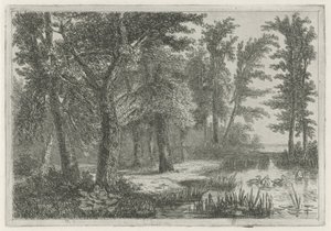 Bosgezicht met een vennetje met eenden door Hermanus Jan Hendrik van Rijkelijkhuysen