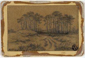 Pad door Bomen