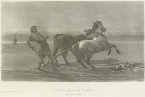 Odysseus die waanzin veinst (gravure)