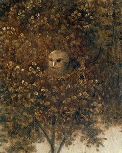 La Nef de Fous - Het schip der dwazen ... door Hieronymus Bosch