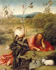 Sint Jan de Doper sluimerend in de natuur. door Hieronymus Bosch