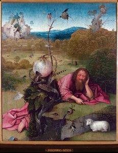 Johannes de Doper in de woestijn door Hieronymus Bosch
