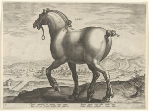 Paard uit Saksen door Hieronymus Wierix