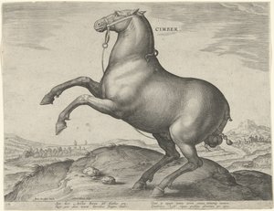 Paard uit Scythië door Hieronymus Wierix