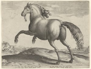 Paard uit Spanje