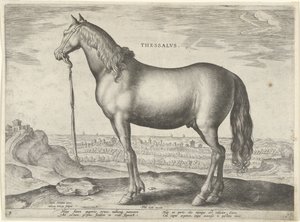 Paard uit Thessalië door Hieronymus Wierix