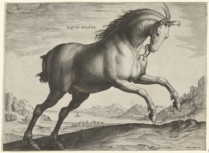 Paard van het ras Equus Regius (de Koninklijke) door Hieronymus Wierix