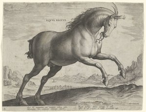 Paard van het ras Equus Regius (de Koninklijke) door Hieronymus Wierix