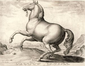 Gallicus uit de serie Paarden uit de Stal van Don Juan van Oostenrijk (gravure) door Hieronymus or Jerome Wierix