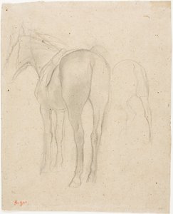 Studies van een paard