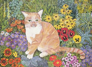 De Kat van de Timmerman