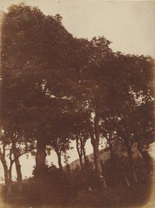 [Veld bij Bonaly].