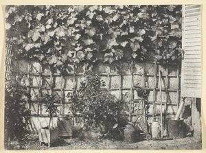 De Treille