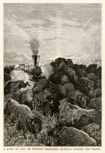 Een kudde van tien of twaalf duizend buffels versperde de weg, uit De Reis om de Wereld in Tachtig Dagen door Jules Verne (1828-1905), gegraveerd door Louis Prevost, 1873