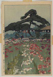 Iristuin in Horikiri, uit de serie, Twaalf scènes van Tokio, Showa tijdperk