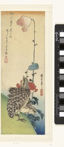 Kwartels en papavers door Hiroshige (I) , Utagawa