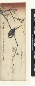 Vogel en wisteria door Hiroshige (I) , Utagawa