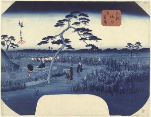 Bloeiende irissen te Horikiri in de Oostelijke hoofdstad door Hiroshige (II) , Utagawa