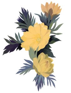 Adonis Ramosa