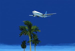 Vliegtuig en Palmboom