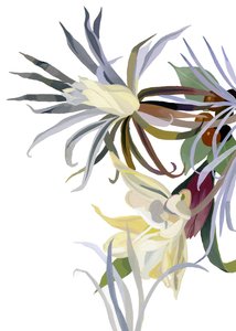 Elegante, baardachtige bloemen door Hiroyuki Izutsu