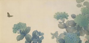 Hishida Shunso, Hortensia