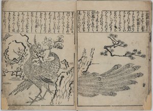 Een verzameling bloemen en vogels (Kacho zukushi) door Hishikawa Moronobu