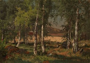  door Hjalmar Munsterhjelm
