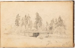  door Hjalmar Munsterhjelm