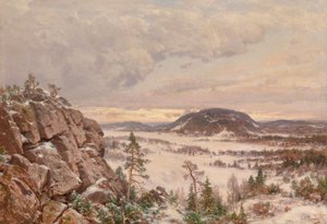  door Hjalmar Munsterhjelm