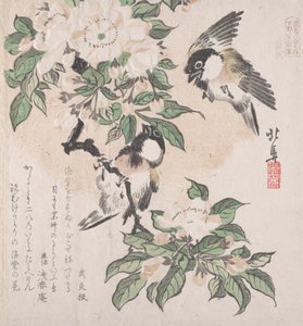 Lente regen collectie Harusame shu, deel 3: Mezen en appelbloesems door Hokuba