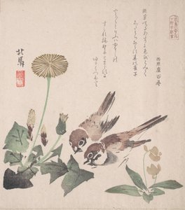 Lente Regen Collectie Harusame shu, deel 3: Mussen en Paardenbloemen door Hokuba