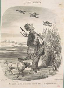 Ah! ... Ik denk dat het roofvogels zijn ...