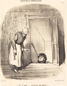 Ah! ça maar... zullen we binnenkort aankomen? door Honoré Daumier