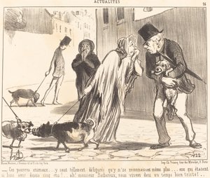 Deze arme dieren... herkennen zichzelf niet meer... door Honoré Daumier