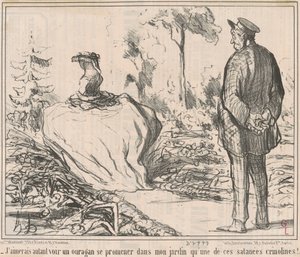 Ik zou liever een orkaan in mijn tuin zien wandelen dan een van die verdomde crinolines! door Honoré Daumier
