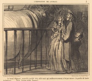 De os-olifant nieuwe variëteit door Honoré Daumier