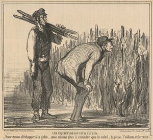 De zorgen van de wijnboer door Honoré Daumier