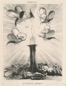 De politieke muggen