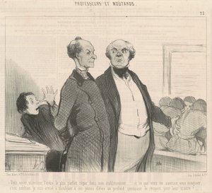 U ziet ... de meest perfecte orde heerst ... door Honoré Daumier