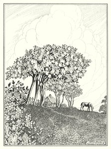 Mei (litho)