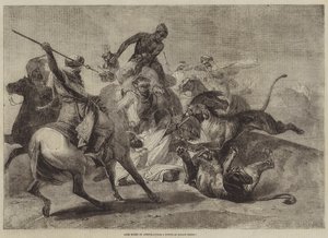 Leeuwenjacht in Afrika