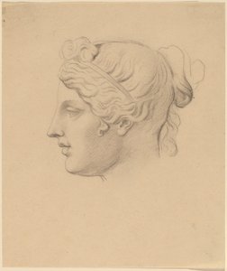 Klassiek Hoofd in Profiel door Horatio Greenough