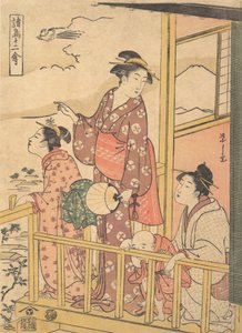 Een langstaartige vogel Onagadori, uit de serie Twaalf Verschillende Vogels Shocho junikin..., ca. 1791 door Hosoda Eishi