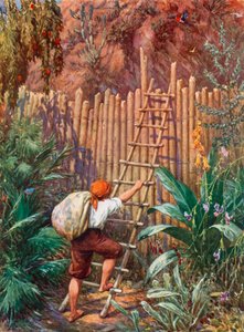 Illustratie voor Robinson Crusoe