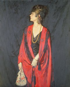 De rode burnous door Howard Somerville