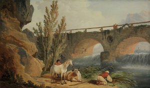 Brug over een waterval