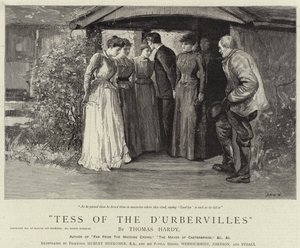 Tess van de d