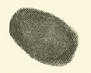Vingerafdruk door Hugh Rowley